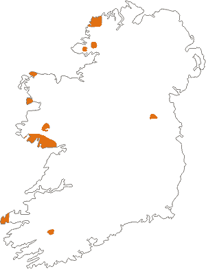 Gaeltachts are areas where Irish is habitually spoken